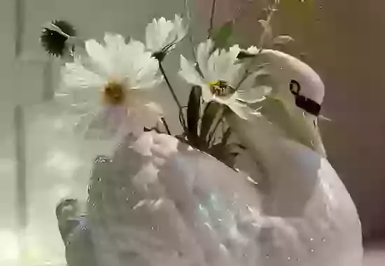 Young Gardeners